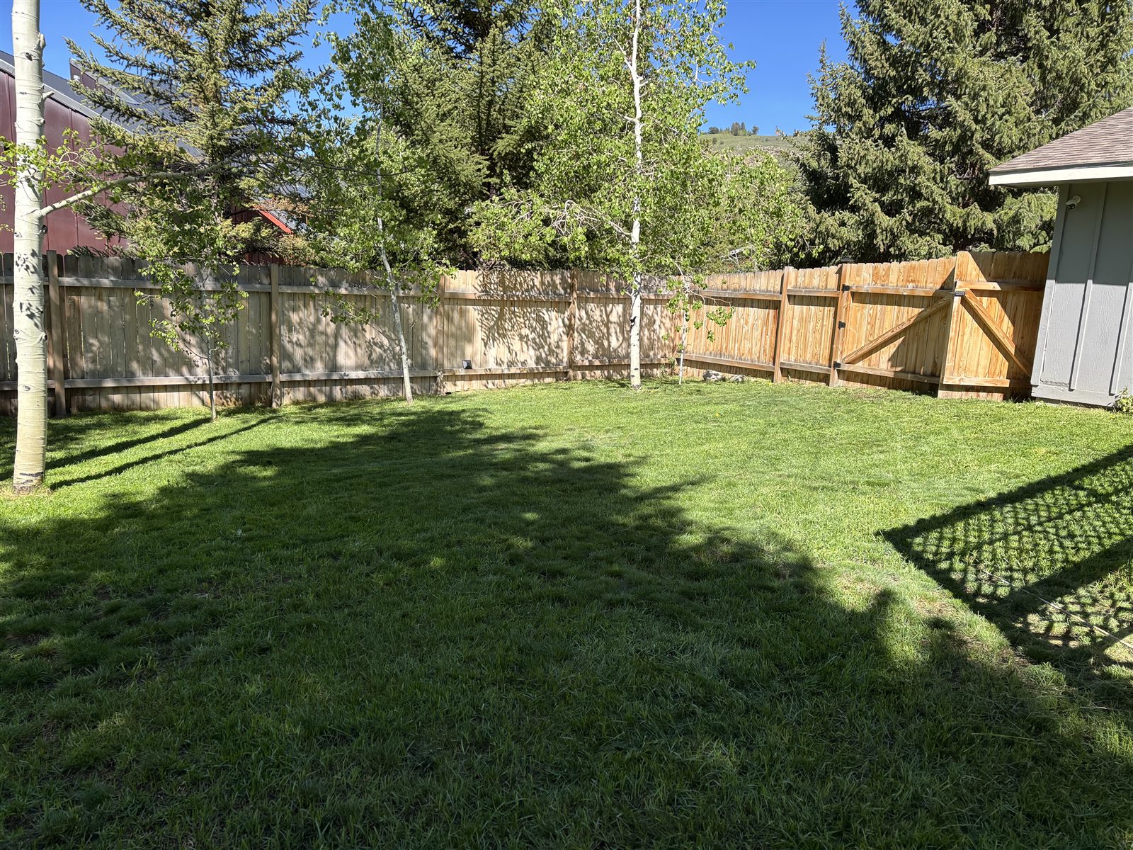Lawn care and maintenance in Summit County, Colorado