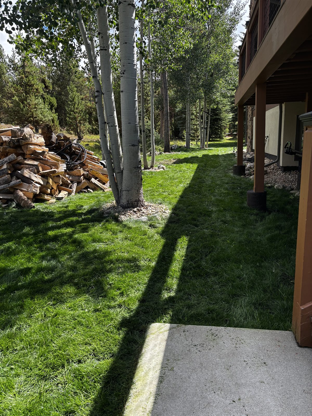 Lawn care and maintenance in Summit County, Colorado
